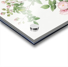 Pink baby roses Acrylic print