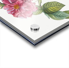 Pink french roses Acrylic print