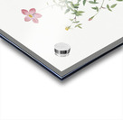 Blooming pink roses Acrylic print