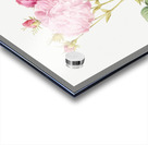 Pink Agatha rose Acrylic print