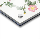 Pink Austrian copper rose Impression Acrylique