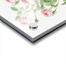 Blooming pink rosebush Acrylic print