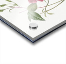 Red bengal rose Acrylic print