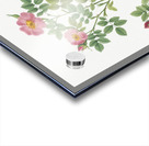 Vintage Provence rose Acrylic print