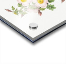 Vintage thornless Burnet rose Acrylic print