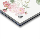 Vintage pink rosebush Acrylic print