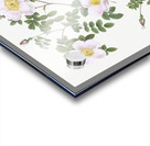 Vintage pink rosebush Acrylic print