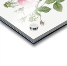 Pink agatha rose Acrylic print