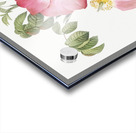 Pink french rose Acrylic print