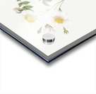 White field roses Acrylic print