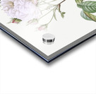 Pink bourbon roses Acrylic print