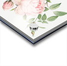 Blooming pink roses Acrylic print