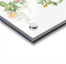 Blooming pink roses Acrylic print