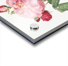 Vintage french rose Acrylic print