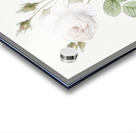 White misty rose Acrylic print
