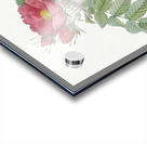 Anemone flowered rose Acrylic print