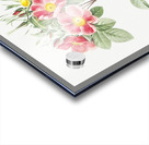 Blooming pink rosebush Acrylic print