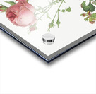 Blooming pink rosebush Acrylic print