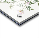 Pink hedge rose in bloom Acrylic print