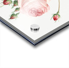 Vintage Provence rose Acrylic print