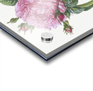 Vintage cabbage rose poster Acrylic print