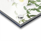 Blooming white roses Acrylic print