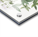 Vintage Lady Banks rose Acrylic print