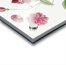 Vintage china rose Acrylic print