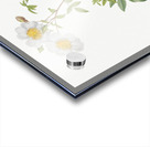 White climbing rose Impression Acrylique