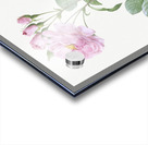 White climbing rose Acrylic print