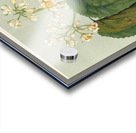 Sarah Featon 035 Acrylic print