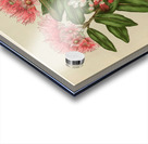 Sarah Featon 028 Acrylic print