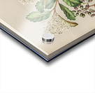 Sarah Featon 019 Acrylic print