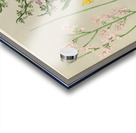 Sarah Featon 002 Acrylic print