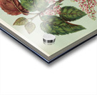 Sarah Featon 025 Acrylic print