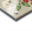 Sarah Featon 005 Acrylic print