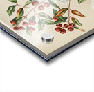 Sarah Featon 024 Acrylic print