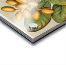 Sarah Featon 020 Acrylic print