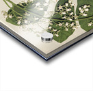 Sarah Featon 021 Acrylic print