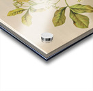 Sarah Featon 006 Acrylic print