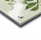 Sarah Featon 018 Acrylic print