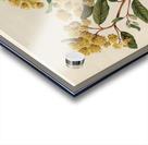 Sarah Featon 023 Acrylic print