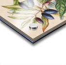 Sarah Featon 014 Acrylic print