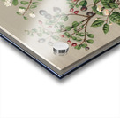 Sarah Featon 011 Acrylic print