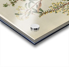 Sarah Featon 012 Acrylic print