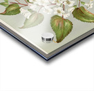 Sarah Featon 016 Acrylic print