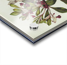 Sarah Featon 010 Acrylic print