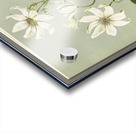 Sarah Featon 029 Acrylic print