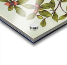 Sarah Featon 027 Acrylic print