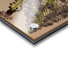 Album van Eeden : Haarlems flora : 1872-1881 Acrylic print